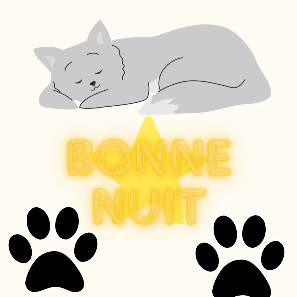 Chat paisible dormant avec texte Bonne Nuit et empreintes de pattes