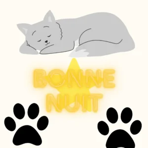 Chat paisible dormant avec texte Bonne Nuit et empreintes de pattes